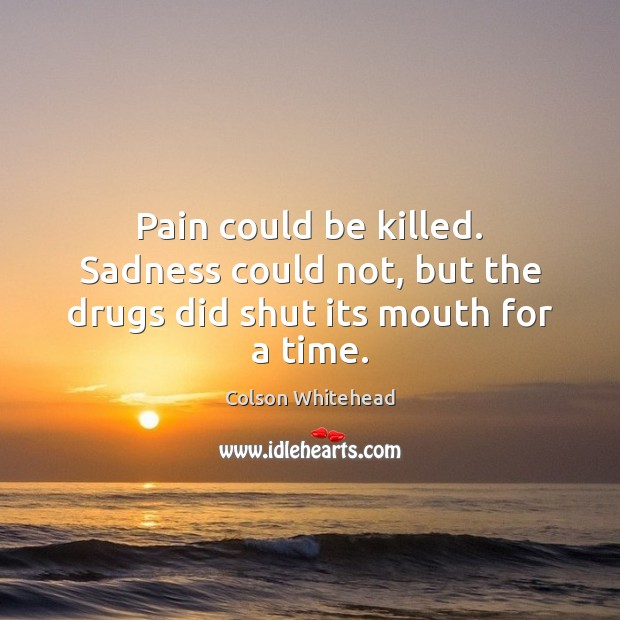 Pain could be killed. Sadness could not, but the drugs did shut its mouth for a time. Colson Whitehead Picture Quote