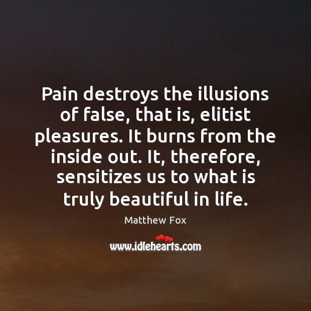 Pain destroys the illusions of false, that is, elitist pleasures. It burns Matthew Fox Picture Quote