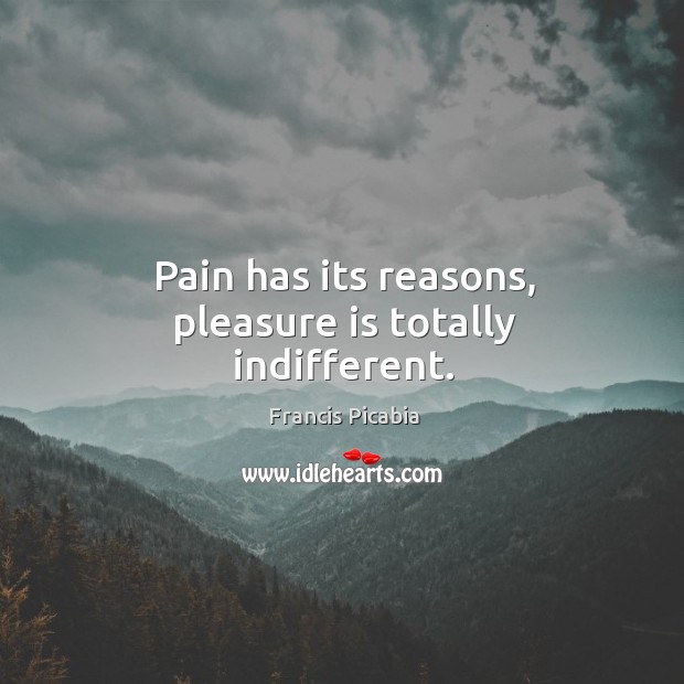 Pain has its reasons, pleasure is totally indifferent. Francis Picabia Picture Quote