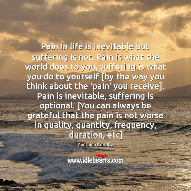 Pain in life is inevitable but suffering is not. Pain is what Be Grateful Quotes Image