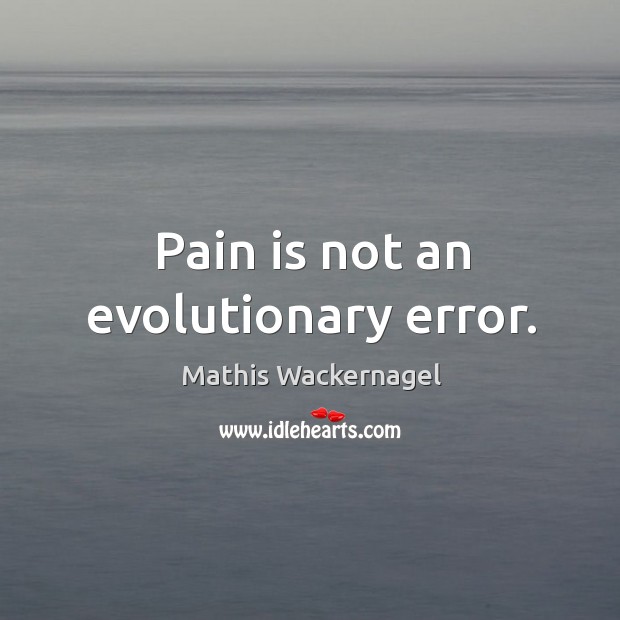 Pain is not an evolutionary error. Mathis Wackernagel Picture Quote