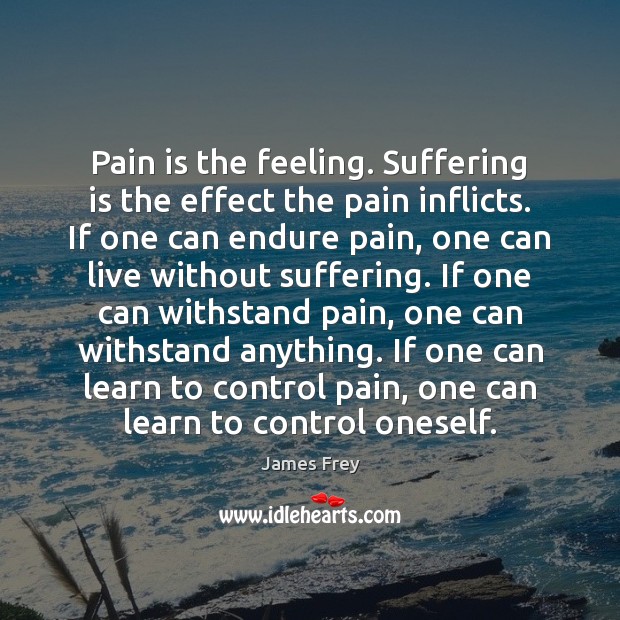 Pain is the feeling. Suffering is the effect the pain inflicts. If James Frey Picture Quote