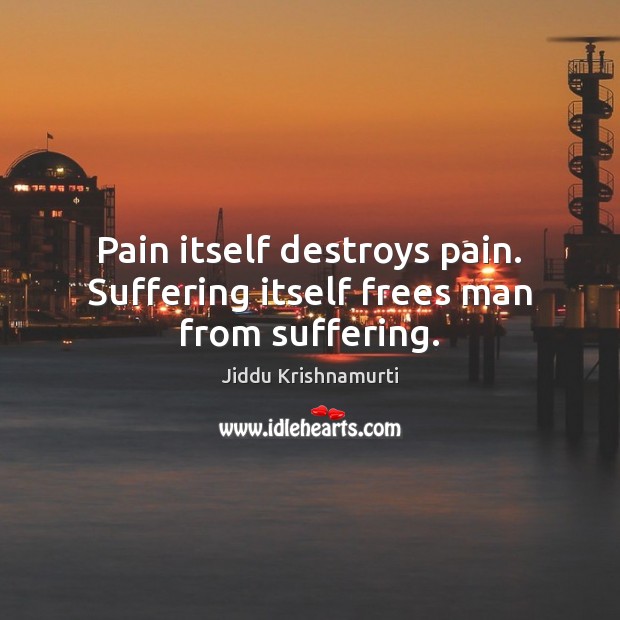 Pain itself destroys pain. Suffering itself frees man from suffering. Jiddu Krishnamurti Picture Quote