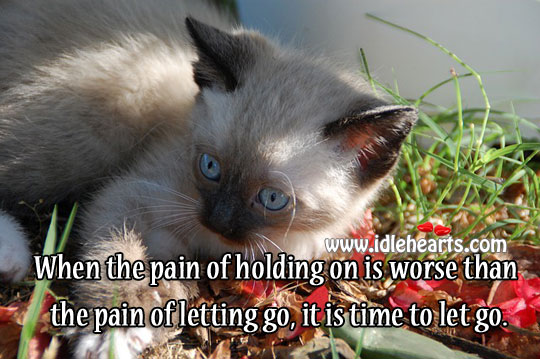 Time to let go Let Go Quotes Image