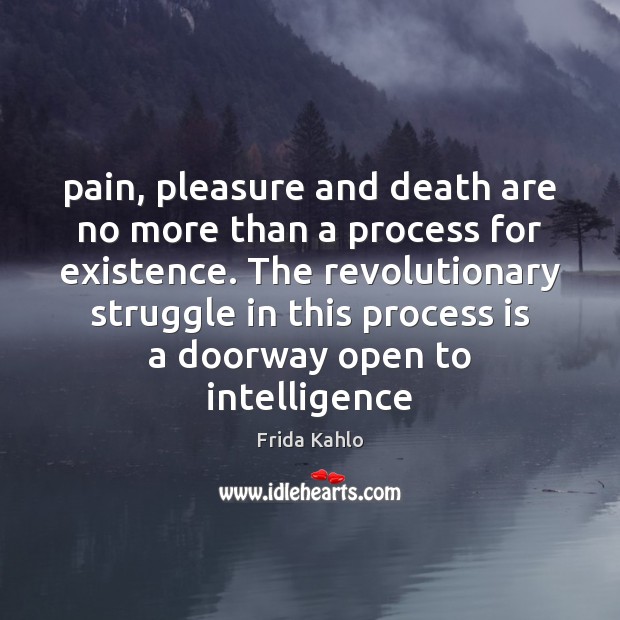 Pain, pleasure and death are no more than a process for existence. Frida Kahlo Picture Quote
