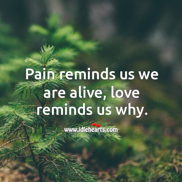 Pain reminds us we are alive, love reminds us why. Picture Quotes Image