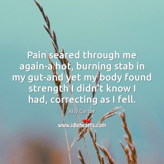 Pain seared through me again-a hot, burning stab in my gut-and yet Ally Carter Picture Quote