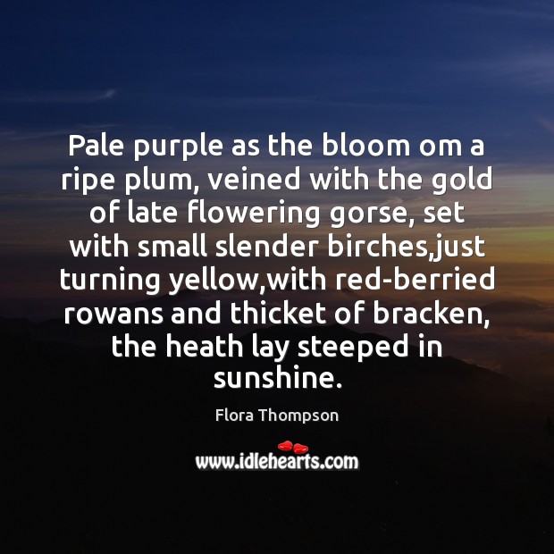 Pale purple as the bloom om a ripe plum, veined with the Flora Thompson Picture Quote