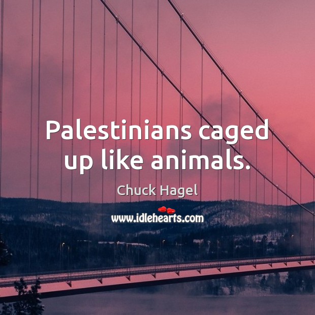 Palestinians caged up like animals. Chuck Hagel Picture Quote