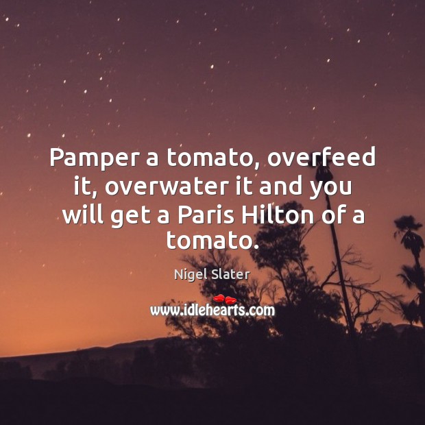 Pamper a tomato, overfeed it, overwater it and you will get a Paris Hilton of a tomato. Nigel Slater Picture Quote