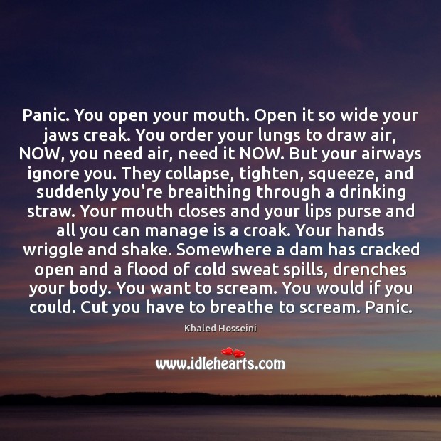 Panic. You open your mouth. Open it so wide your jaws creak. Khaled Hosseini Picture Quote