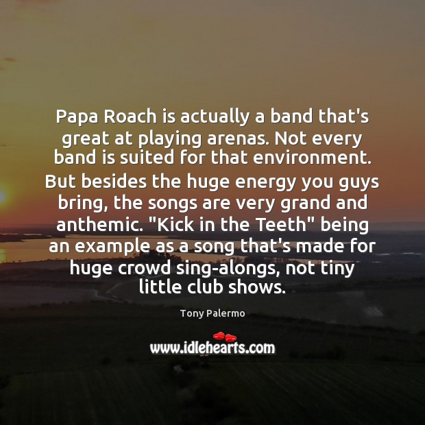 Papa Roach is actually a band that’s great at playing arenas. Not Tony Palermo Picture Quote