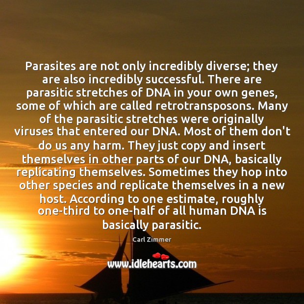 Parasites are not only incredibly diverse; they are also incredibly successful. There Carl Zimmer Picture Quote