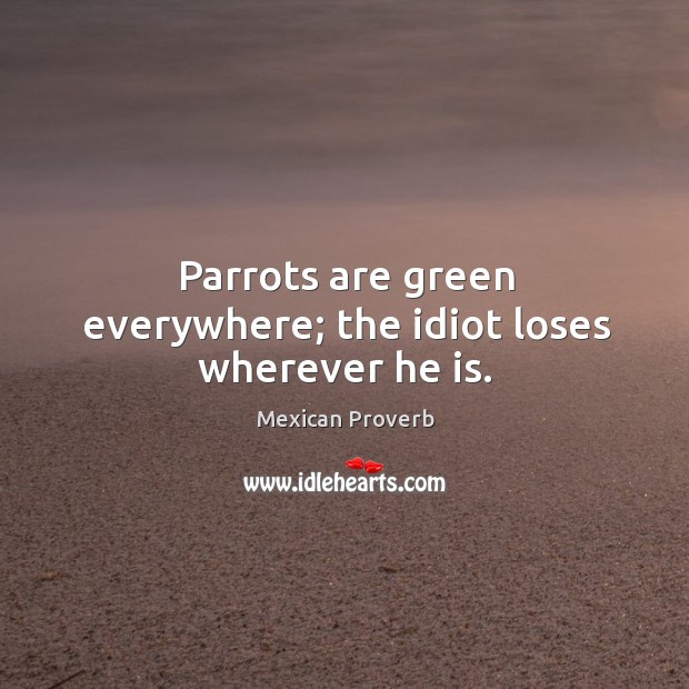 Parrots are green everywhere; the idiot loses wherever he is. Mexican Proverbs Image