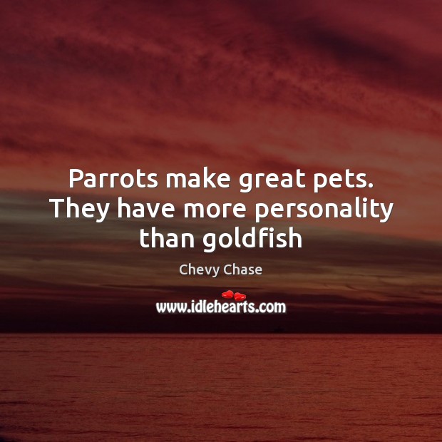 Parrots make great pets. They have more personality than goldfish Chevy Chase Picture Quote