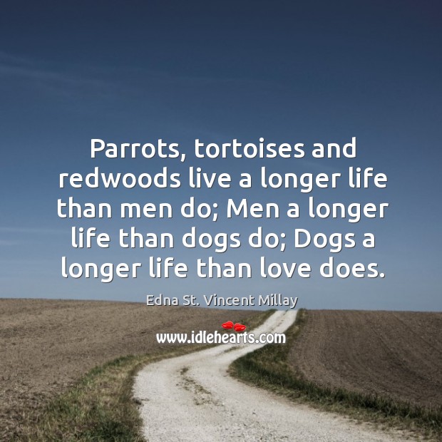 Parrots, tortoises and redwoods live a longer life than men do; Image