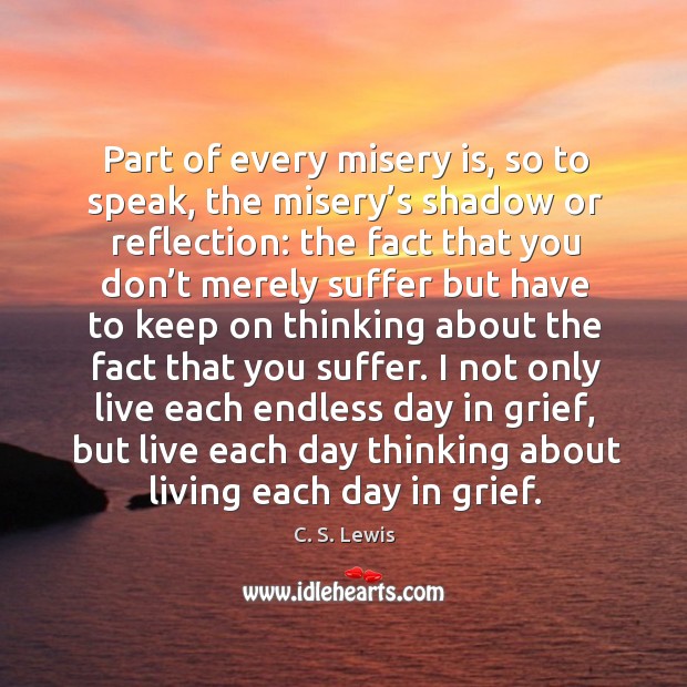 Part of every misery is, so to speak, the misery’s shadow or reflection: the fact that 