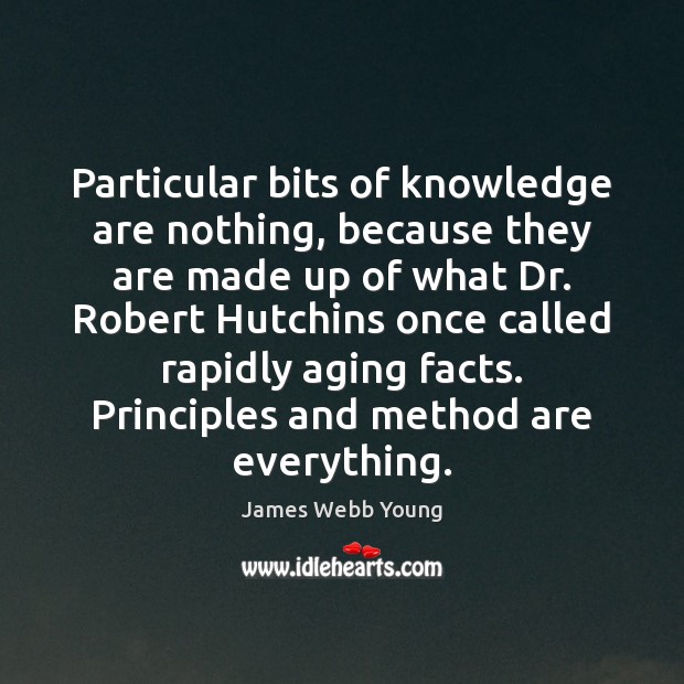 Particular bits of knowledge are nothing, because they are made up of James Webb Young Picture Quote