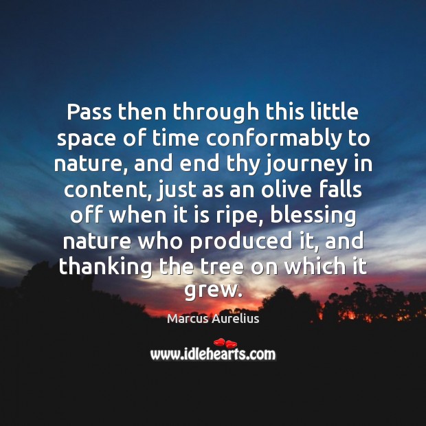 Pass then through this little space of time conformably to nature, and Marcus Aurelius Picture Quote