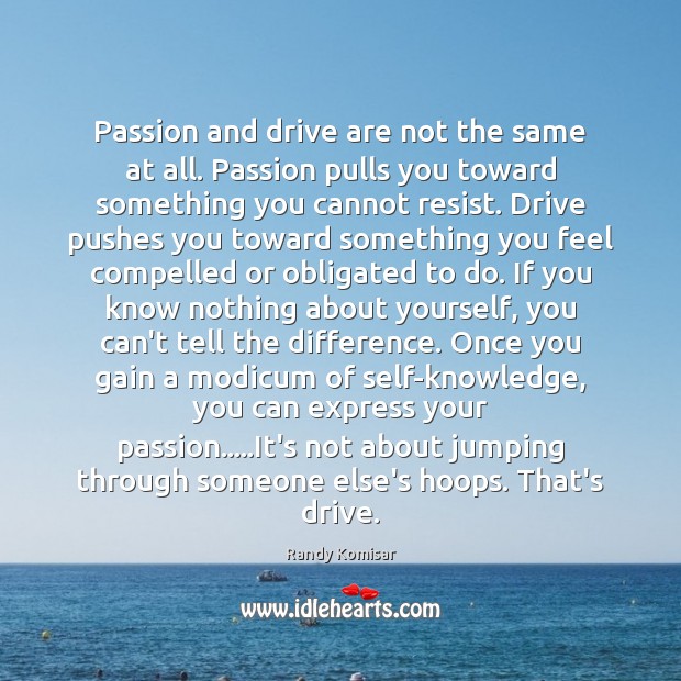 Passion and drive are not the same at all. Passion pulls you Randy Komisar Picture Quote