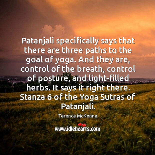 Patanjali specifically says that there are three paths to the goal of Terence McKenna Picture Quote