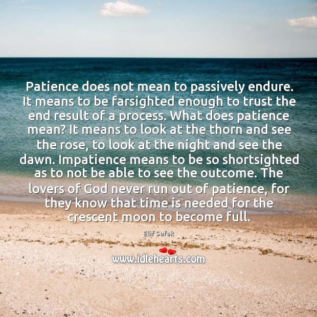 Patience does not mean to passively endure. It means to be farsighted Elif Safak Picture Quote
