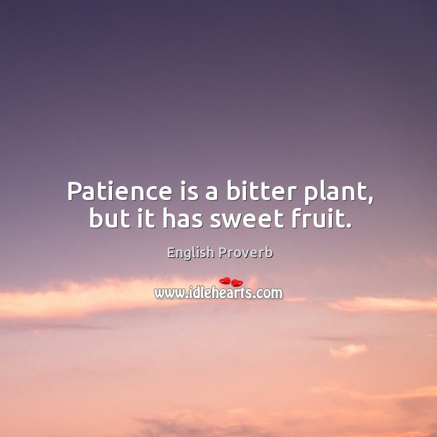 Patience is a bitter plant, but it has sweet fruit. Patience Quotes Image