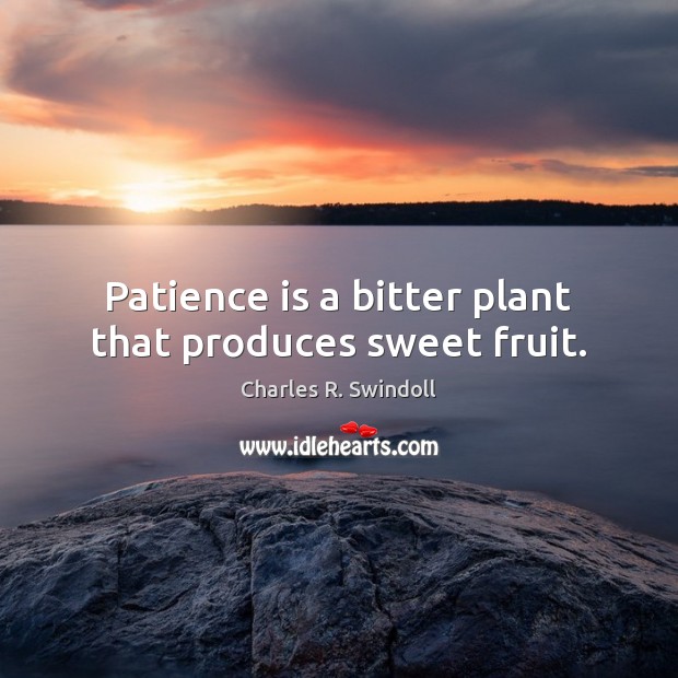 Patience is a bitter plant that produces sweet fruit. Charles R. Swindoll Picture Quote