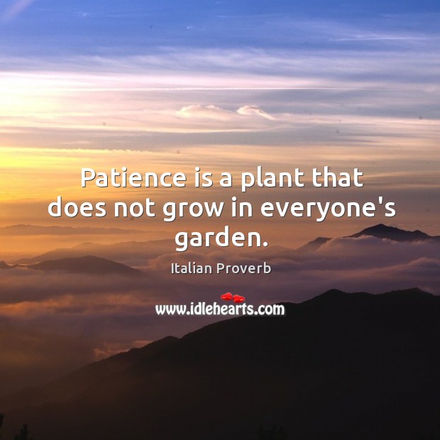 Patience is a plant that does not grow in everyone’s garden. Patience Quotes Image