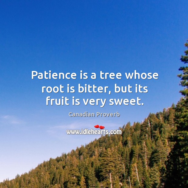 Patience is a tree whose root is bitter, but its fruit is very sweet. Canadian Proverbs Image