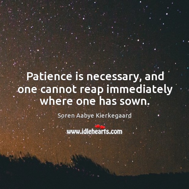 Patience is necessary, and one cannot reap immediately where one has sown. Image