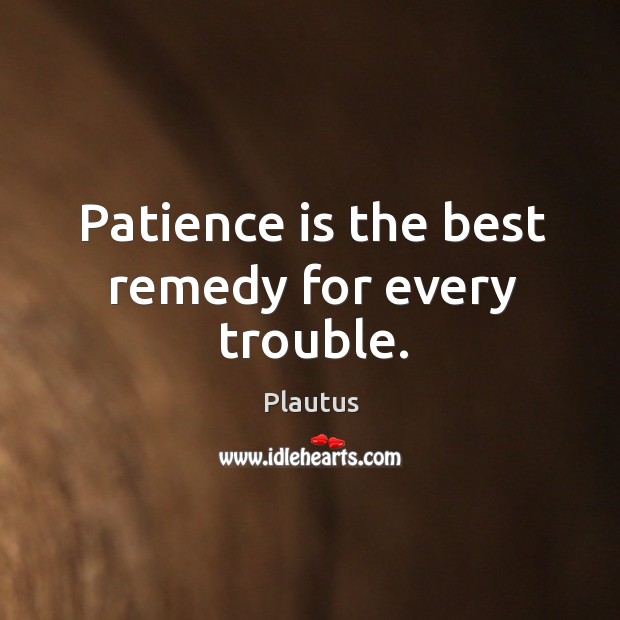 Patience is the best remedy for every trouble. Image