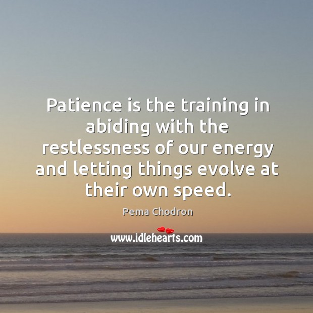 Patience is the training in abiding with the restlessness of our energy Pema Chodron Picture Quote