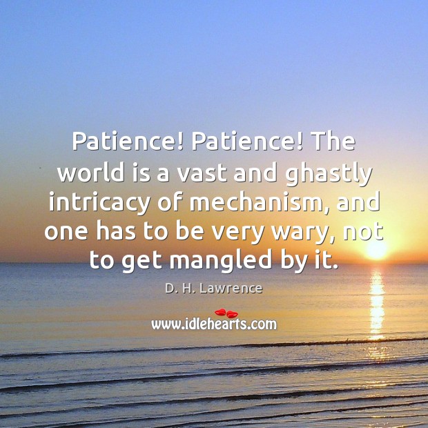 Patience! Patience! The world is a vast and ghastly intricacy of mechanism, D. H. Lawrence Picture Quote
