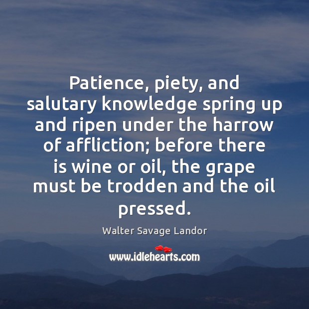 Patience, piety, and salutary knowledge spring up and ripen under the harrow Walter Savage Landor Picture Quote