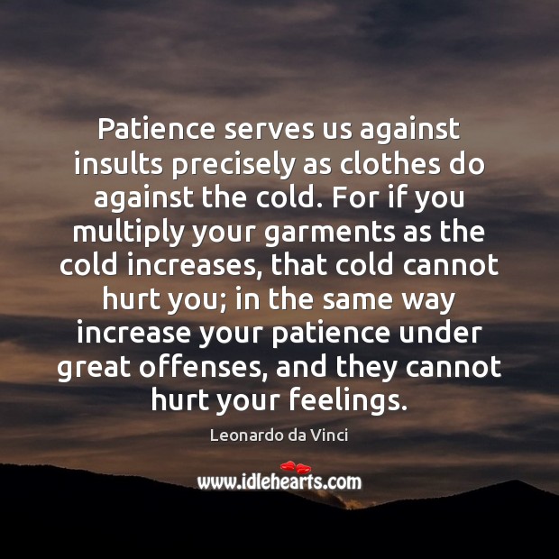 Patience serves us against insults precisely as clothes do against the cold. Leonardo da Vinci Picture Quote