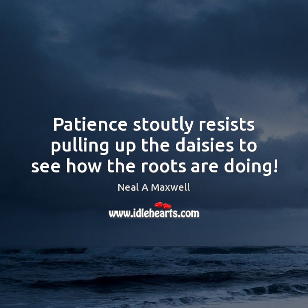 Patience stoutly resists pulling up the daisies to see how the roots are doing! Neal A Maxwell Picture Quote