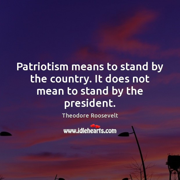 Patriotism means to stand by the country. It does not mean to stand by the president. Theodore Roosevelt Picture Quote
