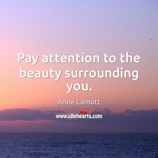Pay attention to the beauty surrounding you. Anne Lamott Picture Quote