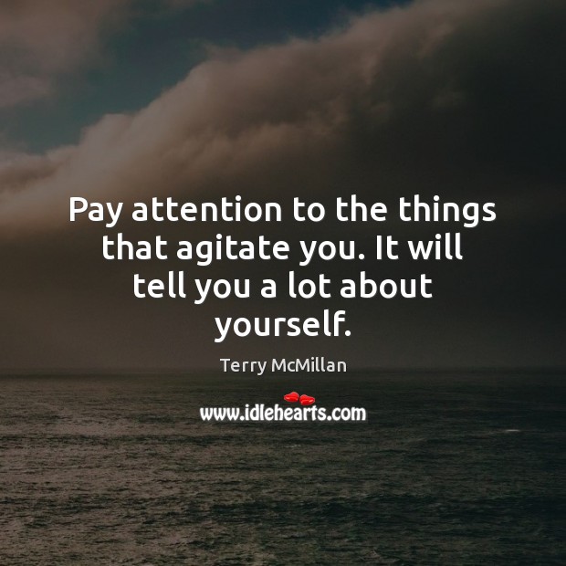 Pay attention to the things that agitate you. It will tell you a lot about yourself. Terry McMillan Picture Quote