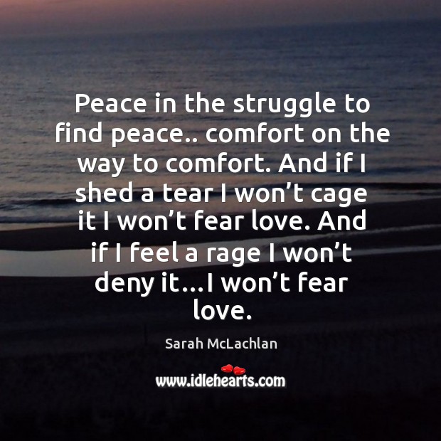Peace in the struggle to find peace.. Comfort on the way to comfort Sarah McLachlan Picture Quote