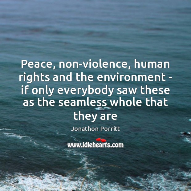 Peace, non-violence, human rights and the environment – if only everybody saw Jonathon Porritt Picture Quote