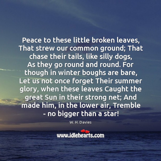 Peace to these little broken leaves, That strew our common ground; That W. H. Davies Picture Quote