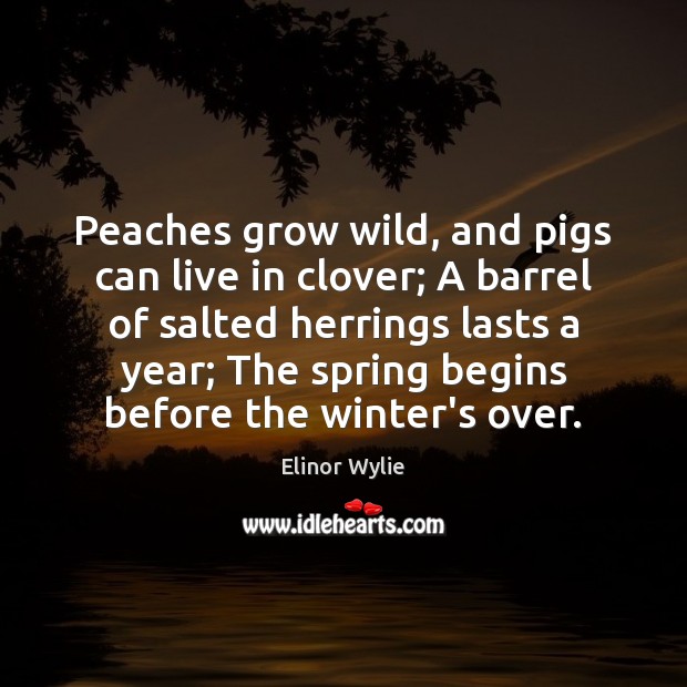Peaches grow wild, and pigs can live in clover; A barrel of Elinor Wylie Picture Quote