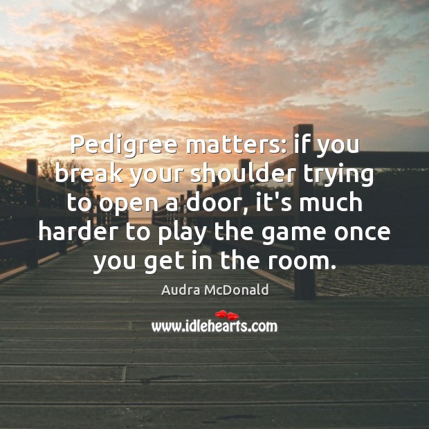 Pedigree matters: if you break your shoulder trying to open a door, Audra McDonald Picture Quote
