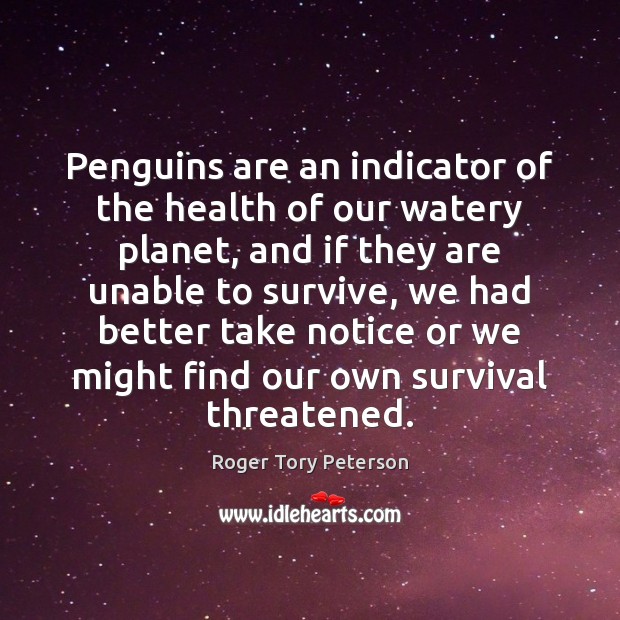 Penguins are an indicator of the health of our watery planet, and Roger Tory Peterson Picture Quote