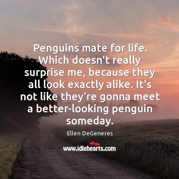 Penguins mate for life. Which doesn’t really surprise me, because they all Ellen DeGeneres Picture Quote