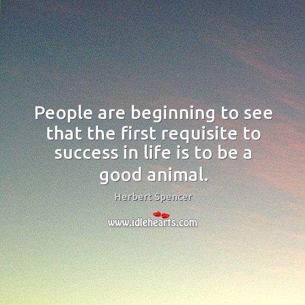 People are beginning to see that the first requisite to success in life is to be a good animal. Herbert Spencer Picture Quote