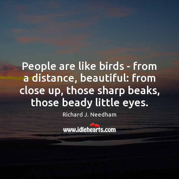 People are like birds – from a distance, beautiful: from close up, Richard J. Needham Picture Quote