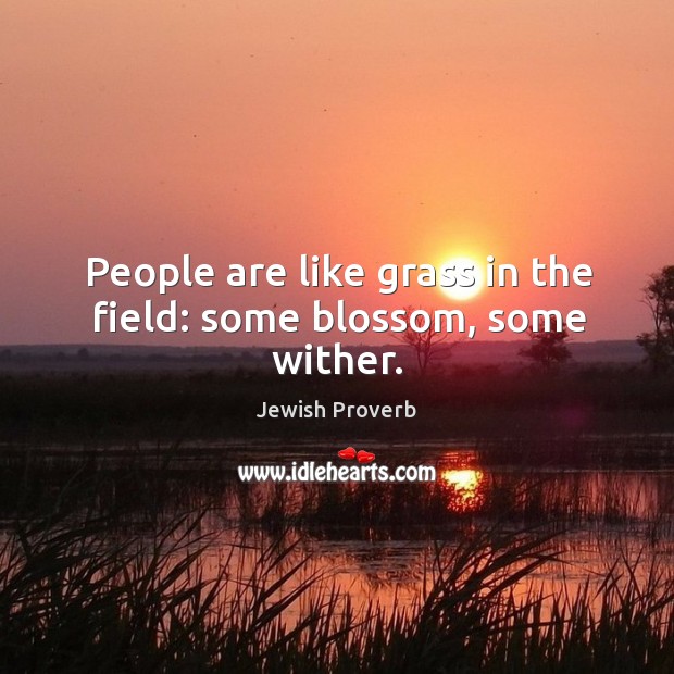People are like grass in the field: some blossom, some wither. Jewish Proverbs Image
